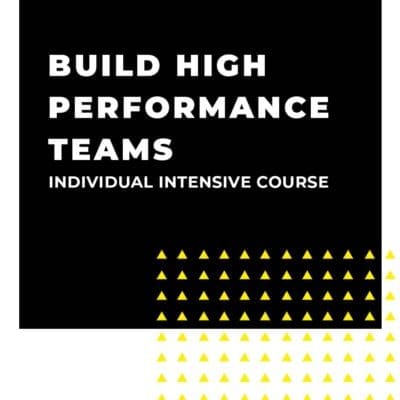 An image displaying text which is the title of the course: Build High Performance Teams 1 Day Individual Intensive Training