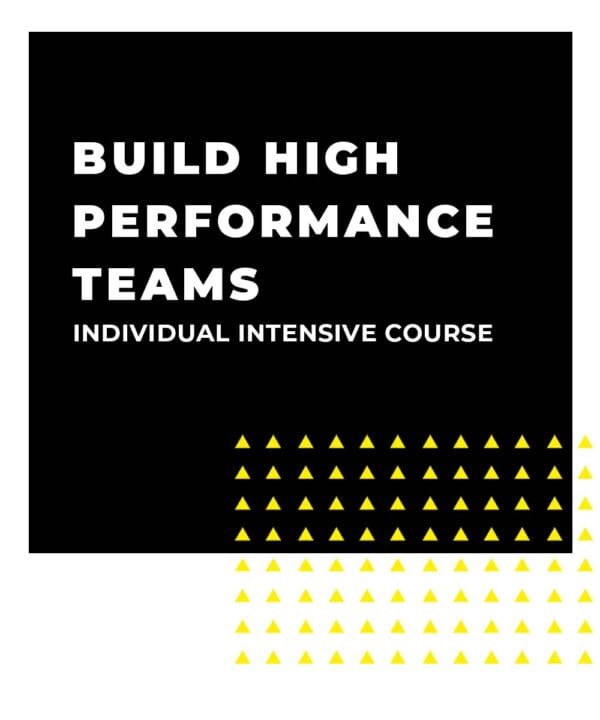 An image displaying text which is the title of the course: Build High Performance Teams 1 Day Individual Intensive Training