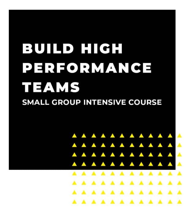 An image displaying text which is the title of the course: Build High Performance Teams 1 Day Small Group Intensive Training