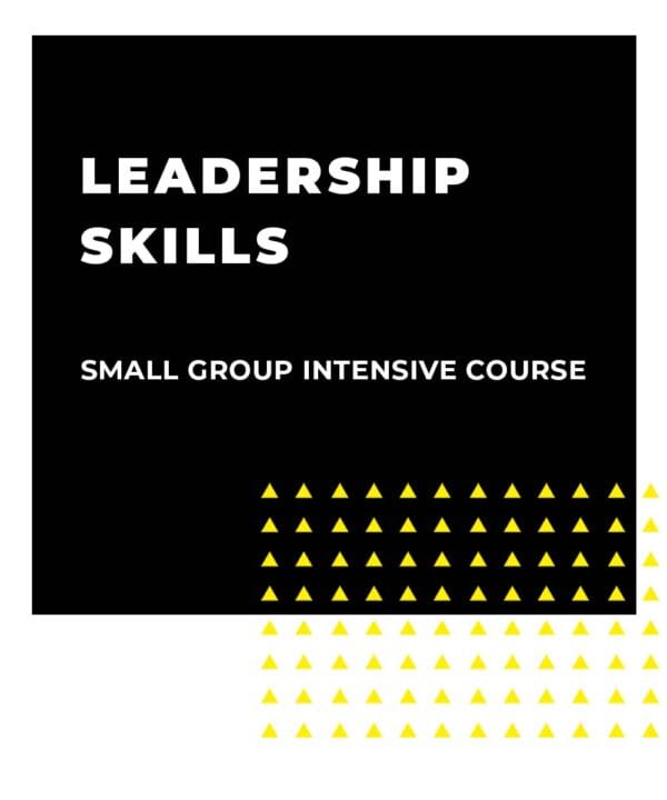 An image displaying text which is the title of the course: Leadership Skills 1 Day Small Team Intensive Training