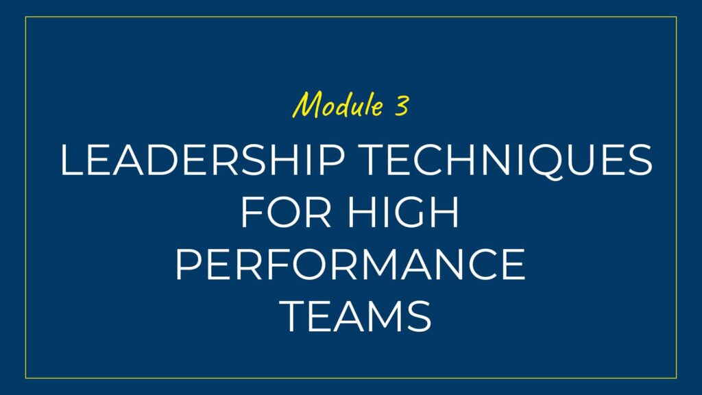 An image displaying text which is the title of Module 3 of our course: Leadership Techniques for High-Performing Teams