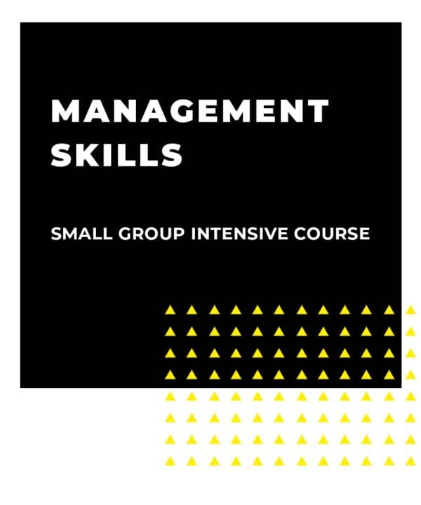 An image displaying text which is the title of the course: Management Skills 1 Day Small Team Intensive Training