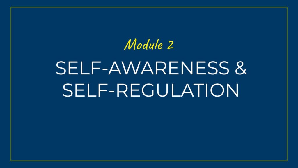 An image displaying text which is the title of Module 2 of our course: Self-Awareness and Self-Regulation